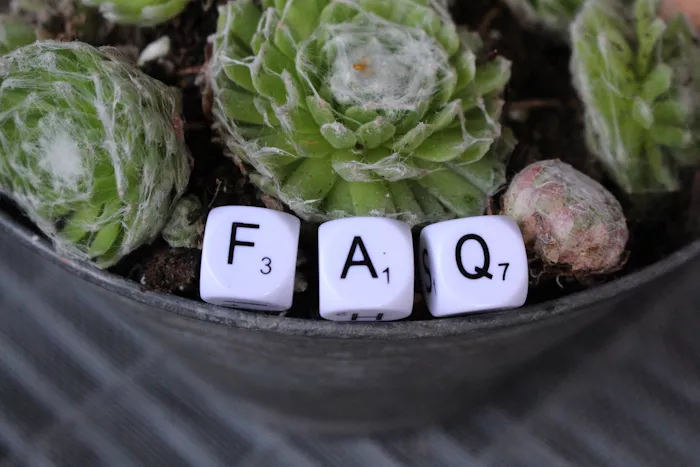 Psychologische Therapie, Psychologe, Psychologin, Vorarlberg, Wolfurt, Klinische Psychologin, Gesundheitspsychologin, Psychologin für Kinder, Psychologin für Jugendliche