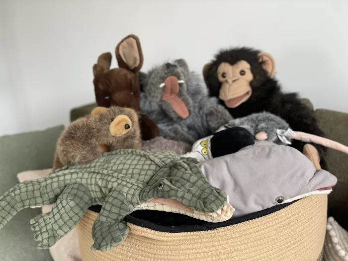 Elisabeth Haltmeiter, klinische Psychologin, Gesundheitspsychologin, Pädagogin, in Vorarlberg