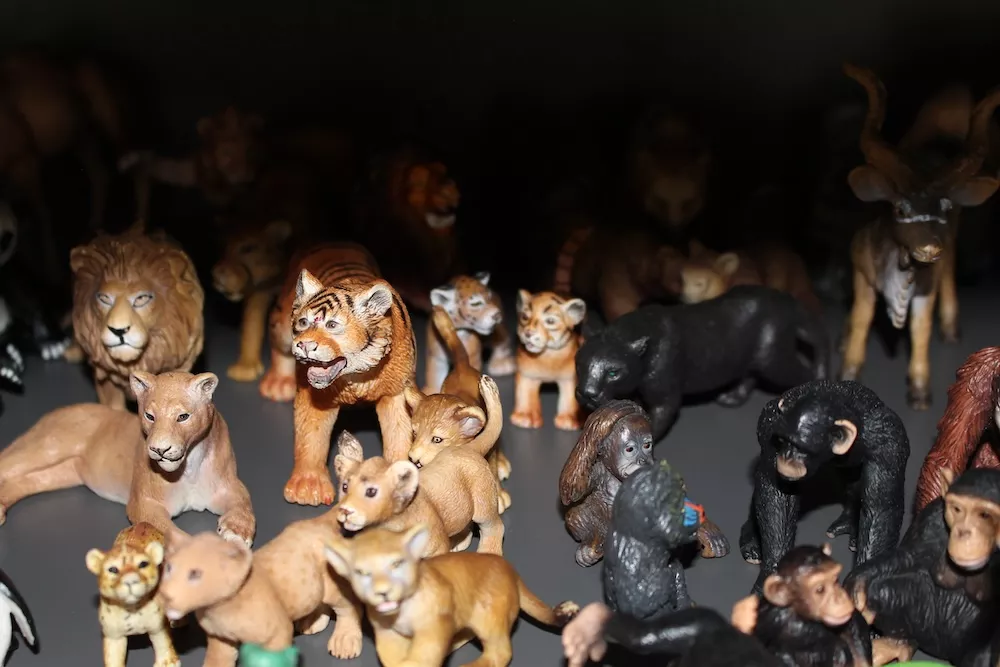 Konflikte, Kommunikation, Steigerung des Selbstbewusstseins, Selbstakzeptanz, Potentialentwicklung