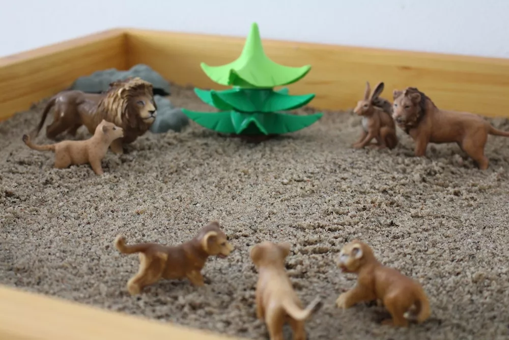 Trennung, Scheidung, Geschwisterkonflikt, Erziehungsberatung, Schreibabys, Obstipation, Trotzphase, Bindung, Sprache, Einnässen, Enuresis, Enkopresis 